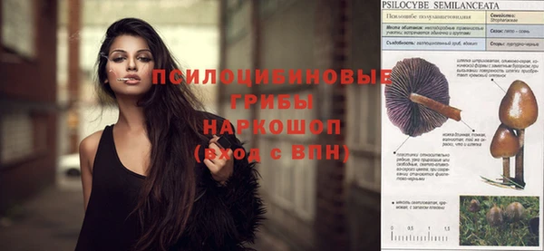 Альфа ПВП Белокуриха
