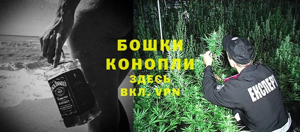 Альфа ПВП Белокуриха