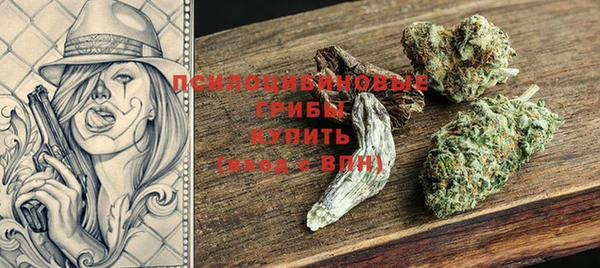 ПСИЛОЦИБИНОВЫЕ ГРИБЫ Белоозёрский