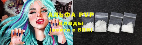 ПСИЛОЦИБИНОВЫЕ ГРИБЫ Белоозёрский