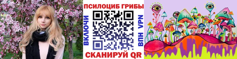 mega как войти  продажа наркотиков  Бор  Псилоцибиновые грибы Magic Shrooms 