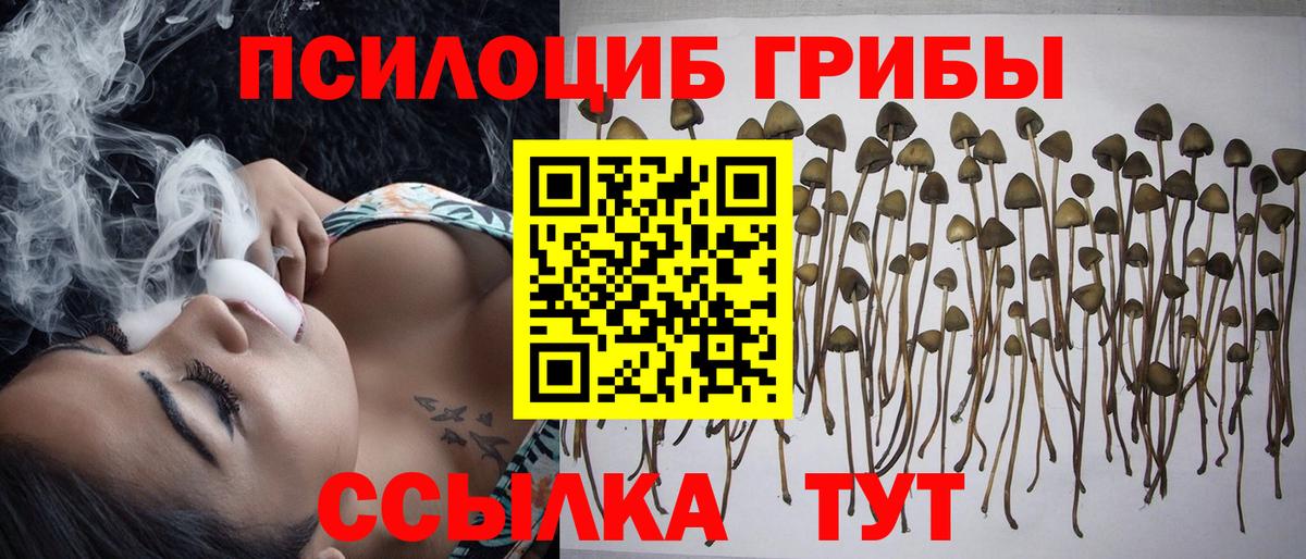 Бор  Галлюциногенные грибы Magic Shrooms  Вход с VPN 